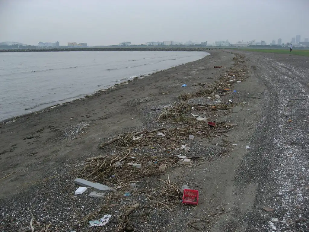 葛西 臨海 公園 海 汚い